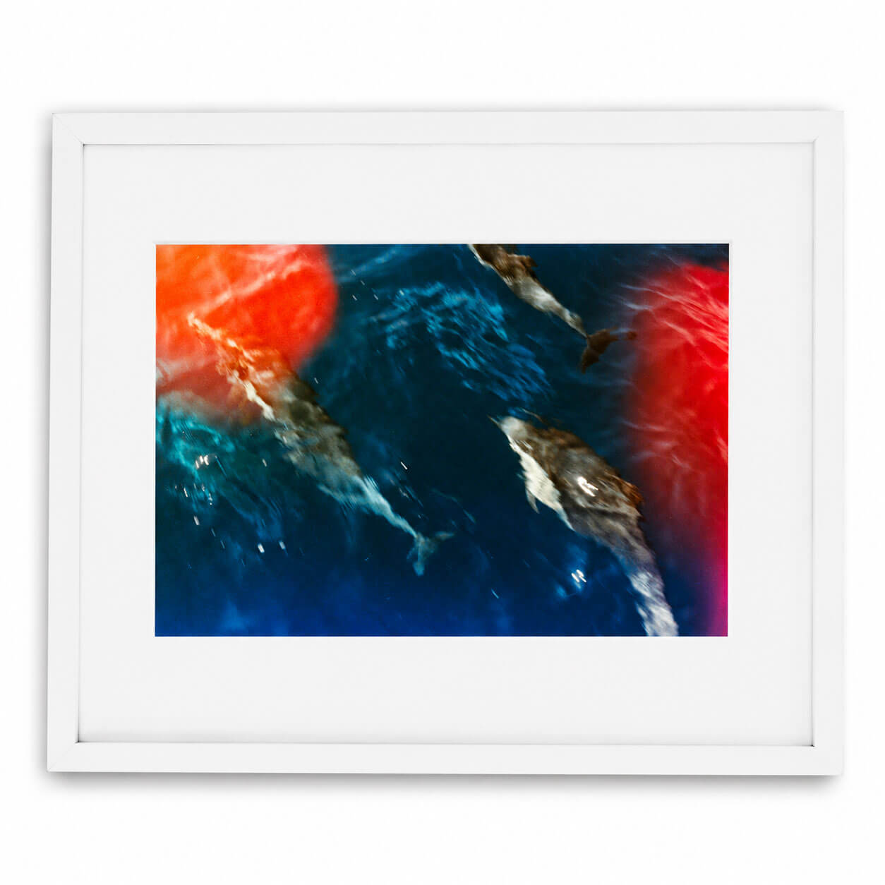A framed art print featuring an aerial photograph of dolphins swimming in deep blue water with vibrant red and orange light reflections, presented in a white frame with a white mat.
